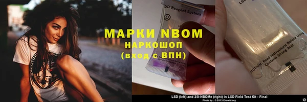 стафф Арсеньев