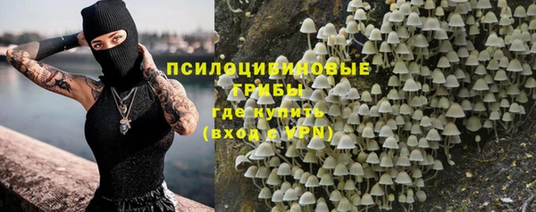 стафф Арсеньев