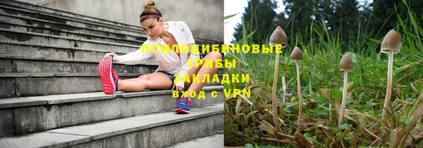 шишки Балабаново