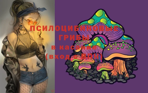 дурь Балахна