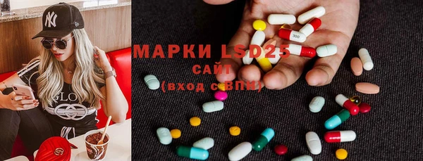 эйфоретик Аркадак