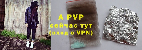 стафф Арсеньев