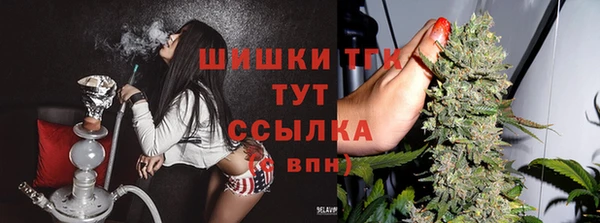 шишки Балабаново