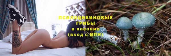 соль ск Нея